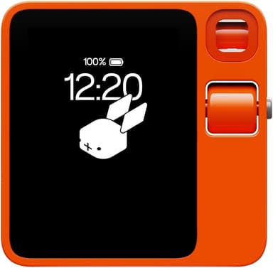Rabbit Rabbit r1