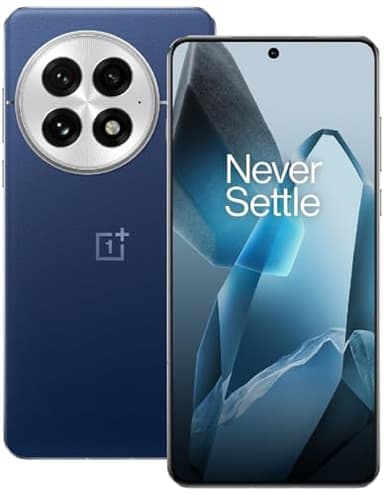 OnePlus 13